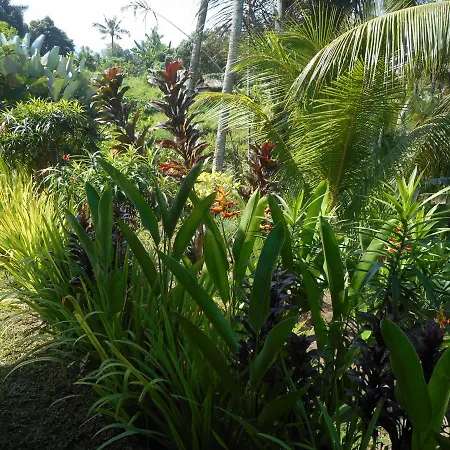 Cegeng Lestari Guesthouse