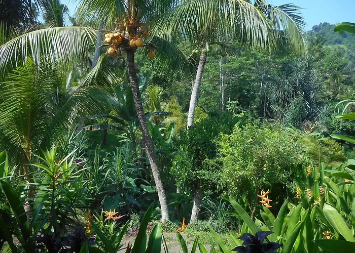 Maison d'hôtes Cegeng Lestari Sidemen (Bali)