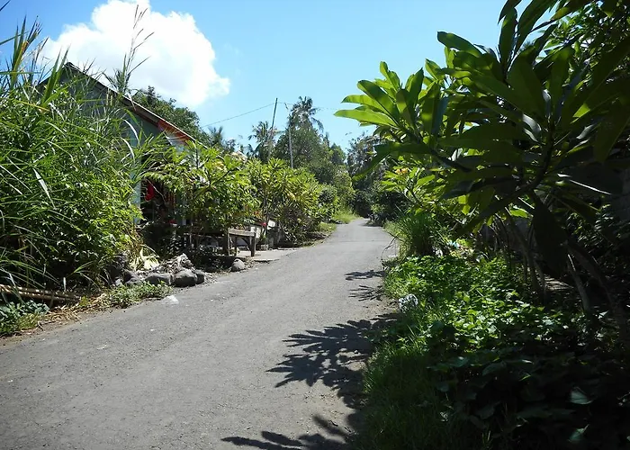 Cegeng Lestari 2* Sidemen (Bali)