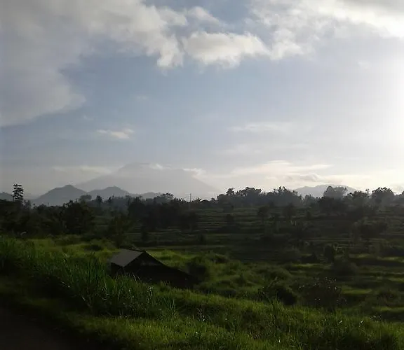 Cegeng Lestari 2*